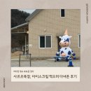 만석목장 | [포천 사르르목장] 카이막과 신선한 우유 아이스크림, 솔직 방문 후기