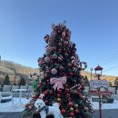 라이넨네 풀빌라 스테이 | 서울근교여행 애견동반 가능한 춘천풀빌라 발리376 후기