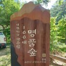 남울진도장 | 울릉도 여름휴가 후기 2 (2025. 7. 12 . ~ 7. 16...트레킹, 후포 빅오스테이, 남울진국민체육센터