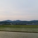 금산2리 경로당 | 하류리[충남 금산군 금성면 하류리](20260608)