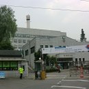 경찰서 Daum카페