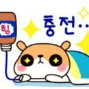 샬롬홈인테리어