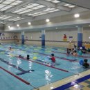 덕업관어린이수영장 수영장 이미지