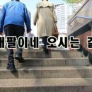 대팔이네