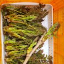 백전농장2 이미지