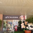 동탄반석로 | 동탄 훠궈 맛집 라오충칭훠궈 런치세트 후기 프라이빗 룸식당 추천