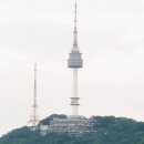 미미홈타이