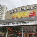 영화로보는스크린영어 | [독일 베를린🇩🇪] 독일 영화관에서 영화 보기 | 교환학생 버킷리스트 | 영어자막✔️