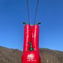 장곡주차장(장승공원) | 청양 칠갑산 :: 늦겨울의 반전, 예상치 못한 얼음길 산행 후기