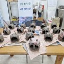 옥정병설유치원 이미지