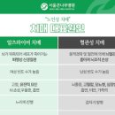 알츠하이머 치매 초기 증상 지남력(시간), 단기기억상실 이미지