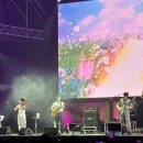 하마카용품 | 2025 서울파크뮤직페스티벌 후기 공연 푸드 꿀팁 정보 토요일 후기