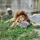 청주랜드관리사업소(동물원) 이미지