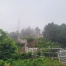 봉화순대 이미지