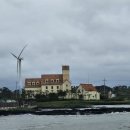 신창싱계물 이미지