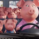 한중양꼬치 이미지