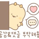 호텔화양강 이미지