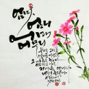 서예 & 캘리그라피 이미지