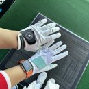 엑스앤글러브 네이버블로그
