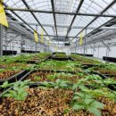 쌈바농장 이미지