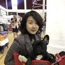 비오에스 Daum카페