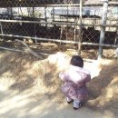 기연농장 이미지