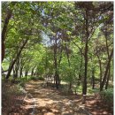 열녀 남평문씨 정려각 | [436편/전북특별자치도 전주시 완산구 효자4동]우림초등학교 와 골든팰리스휴먼시아아파트 앞에 위치한...