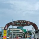 종합여객터미널 | [제주 우도] 성산포항종합여객터미널 / 우도 가는방법 배시간 우도여행지