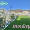 멍키즈 이미지