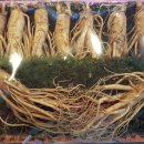 상권농장 이미지