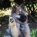 용산동물병원 이미지