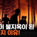 파이어씨드 이미지