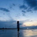 만민농장 이미지