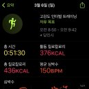샌드베리 이미지