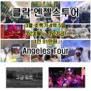 아델여행사