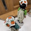 토토 | 딸기향 가득했던 하루, 고마워 토토 위드맘 수업 후기