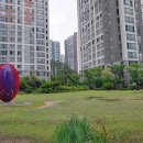 운정드림공인중개사사무소 이미지