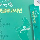 상아펫케어 이미지