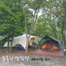 A8 | 경북 경주 문복산캠핑장 A8사이트 후기