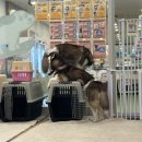 듀