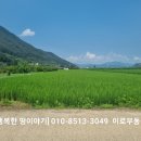 가산앞들 네이버블로그