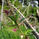 선아농장 이미지