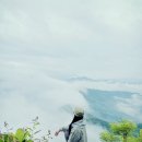 우중 솔로 백패킹(부제:이 산에 나 혼자다!) 이미지