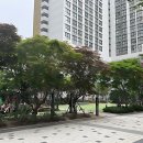 칠천공인중개사사무소 | 루원시티매매 고민하던 저의 정착지, 여기 진짜 괜찮네요