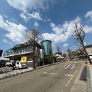 카페유로패스 이미지