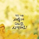 창곡천 Daum카페