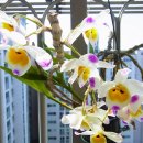 대포초등학교 이미지