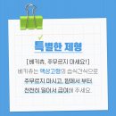 예지펫