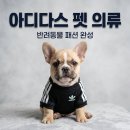 펫피파니 | 아디다스 펫 의류 정품 출시! 강아지 옷 추천 및 반려동물 커플룩 사이즈 선택 팁