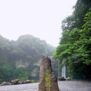 배목수집 이미지